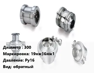 Клапан нержавеющий 300 19нж16нж1 Ру16 обратный